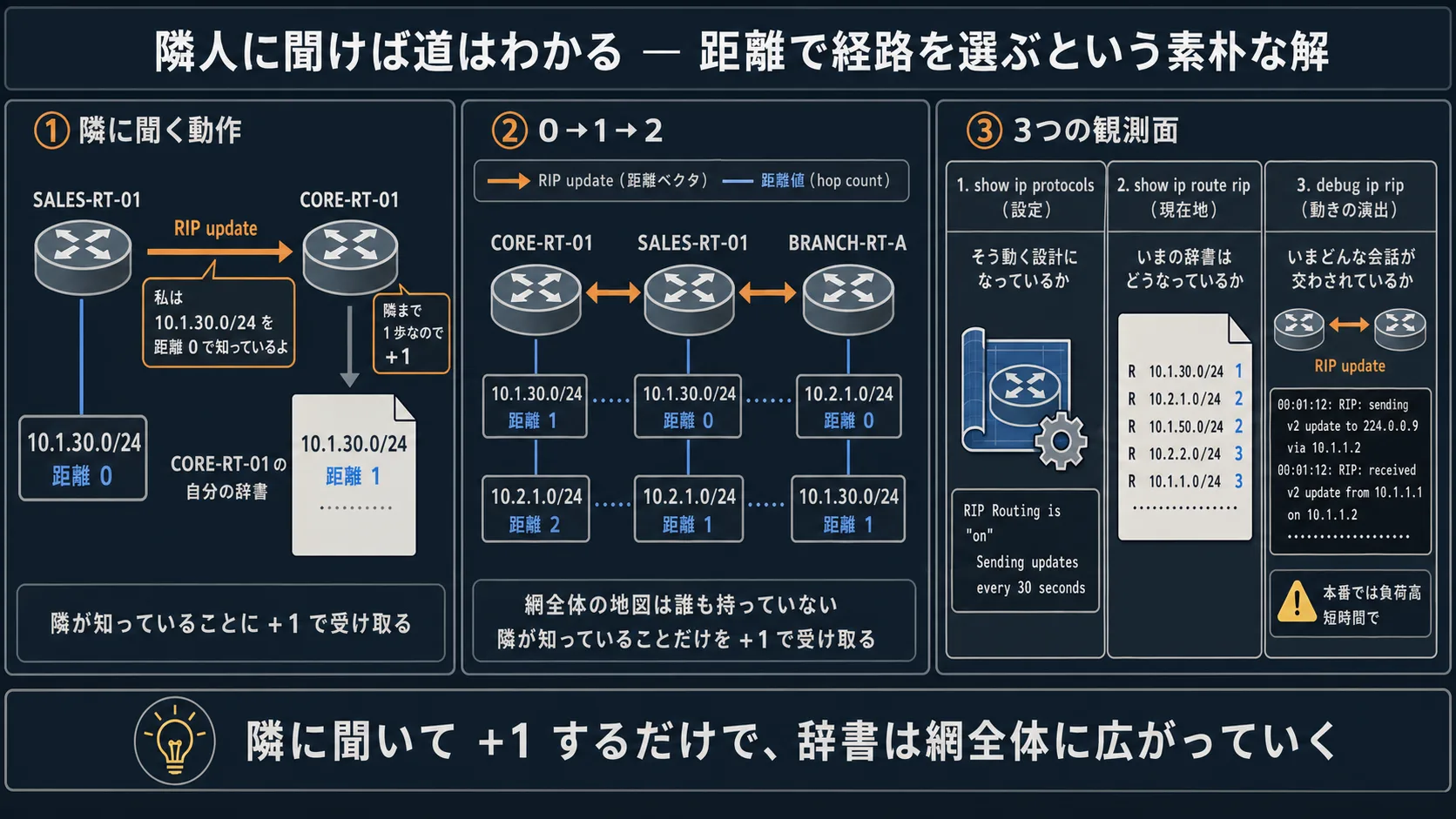 全体俯瞰: 3パネル ジャーニー型インフォグラフ。左パネル「隣に聞く動作(SALES-RT-01 → CORE-RT-01 へ update が流れ、距離0→距離+1=1 と書き込まれる、隣人=橙系)」、中央パネル「3台で 0→1→2 と積み上がる(SALES-RT-01 距離0 / CORE-RT-01 距離1 / BRANCH-RT-A 距離2、距離値=青系で hop ラベル)」、右パネル「3つの観測面(show ip protocols=設定 / show ip route rip=現在地のR行 / debug ip rip=動きの演出、見ているものが違う)」。最下段に核心メッセージ帯「隣に聞いて +1 するだけで、辞書は網全体に広がっていく」