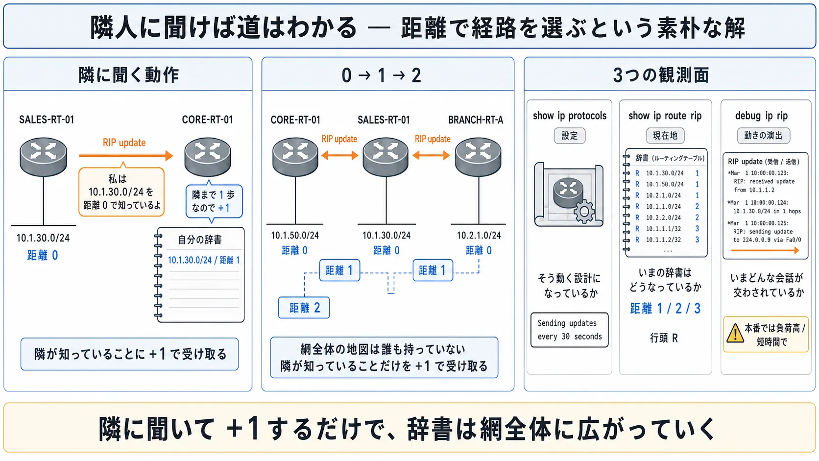全体俯瞰: 3パネル ジャーニー型インフォグラフ。左パネル「隣に聞く動作(SALES-RT-01 → CORE-RT-01 へ update が流れ、距離0→距離+1=1 と書き込まれる、隣人=橙系)」、中央パネル「3台で 0→1→2 と積み上がる(SALES-RT-01 距離0 / CORE-RT-01 距離1 / BRANCH-RT-A 距離2、距離値=青系で hop ラベル)」、右パネル「3つの観測面(show ip protocols=設定 / show ip route rip=現在地のR行 / debug ip rip=動きの演出、見ているものが違う)」。最下段に核心メッセージ帯「隣に聞いて +1 するだけで、辞書は網全体に広がっていく」