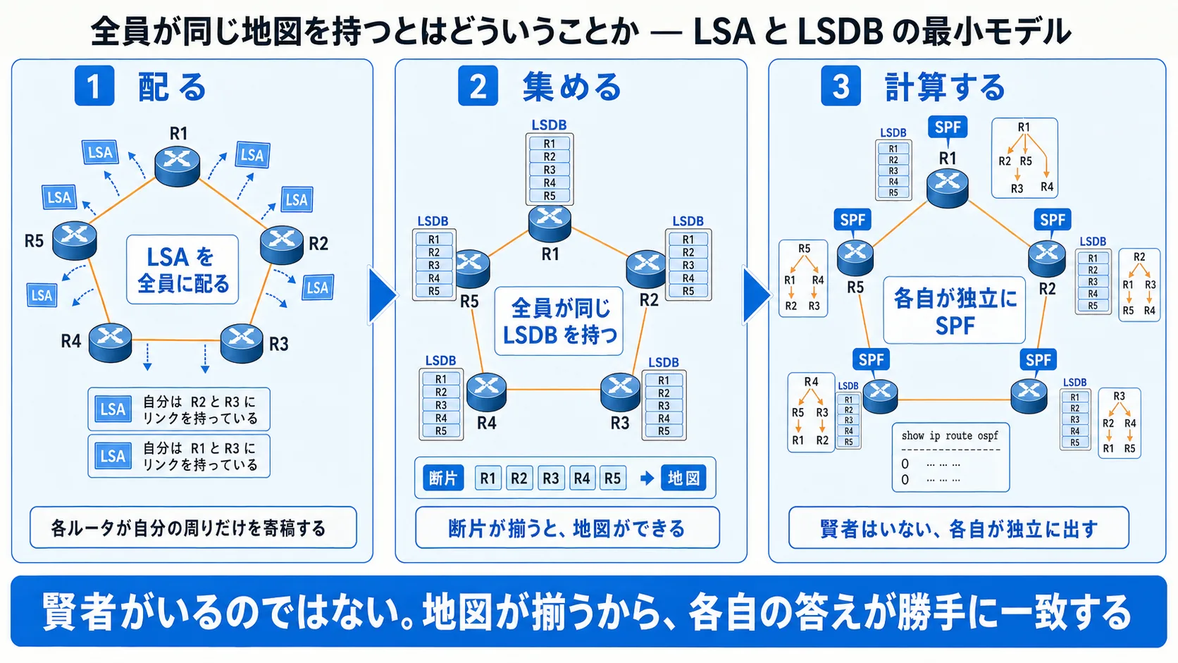 本話全体の俯瞰 (LSA の reliable flooding → LSDB の同期 → SPF による独立計算): 3 段ジャーニー型インフォグラフ。配る (青系: 5 台のルータ R1〜R5 が円状に配置され、各ルータから自分の周りのリンク状態を記述した LSA が四方に放射される、各ルータが自分の周りだけを寄稿する)→ 集める (青系: 5 台のルータの足元に LSDB の蓄積場所が描かれ、各 LSDB に 5 枚分の LSA が積み重なっていく、5 つの LSDB の中身が同期して同じになっていく)→ 計算する (青系: 5 台のルータがそれぞれ自分の手元の LSDB を見ながら独立に SPF で最短経路を計算する、中央集権の主体はおらず各自が独立に出す)。最下段の帯『LSDB が同期するから、各自の SPF の答えが矛盾なく揃う』