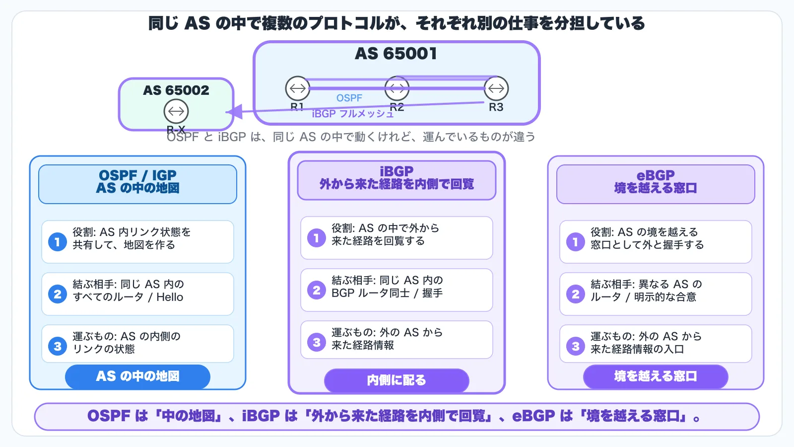 OSPF / iBGP / eBGP の役割分担(横並び 3 列)。中央上部に AS 65001(青系の薄塗り、紫系の枠線で管理境界)、内側に R1 / R2 / R3 の 3 台。左下に AS 65002(緑系の薄塗り)。3 列のプレート — 左列(青系の薄塗り、OSPF / IGP — AS の中のリンクの状態の共有): 3 行の対比軸 (1) 役割 = AS の中のリンクの状態を全員で共有して link-state database を作る (2) 結ぶ相手 = 同じ AS の中のすべてのルータ(自動発見 = Hello) (3) 運ぶもの = AS の内側のリンクの状態。下部小プレート「AS の中のリンクの状態の共有」。中央列(紫系の薄塗り、iBGP — 外から来た経路の AS 内部配布): 3 行の対比軸 (1) 役割 = AS の中で外から来た経路を AS 内部に配布する (2) 結ぶ相手 = 同じ AS の中の BGP ルータ同士(明示的な合意でセッションを成立させる) (3) 運ぶもの = 外の AS から来た経路情報。下部小プレート「AS 内部に配る」。右列(紫系の薄塗り、eBGP — AS 境界の経路交換接点): 3 行の対比軸 (1) 役割 = AS 境界の経路交換接点として外とセッションを成立させる (2) 結ぶ相手 = 異なる AS のルータ(明示的な合意でセッションを成立させる) (3) 運ぶもの = 外の AS から来た経路情報の入口。下部小プレート「AS 境界の経路交換接点」。中央の上部注釈「同じ AS の中で複数のプロトコルが、それぞれ別の仕事を分担している」。中央の下部注釈「OSPF と iBGP は、同じ AS の中で動くけれど、運んでいるものが違う」。最下段のリードライン「OSPF は『中のリンクの状態の共有』、iBGP は『外から来た経路の AS 内部配布』、eBGP は『AS 境界の経路交換接点』」(紫系の太字)